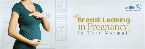 leaking breasts during pregnancy|Understanding lactation: Signs your milk is coming in during。